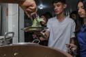 Líder nacional em alimentos orgânicos, Paraná investe para ampliar produção e consumo