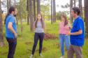 Grupo que reúne professores da UEPG descobre registro rupestre inédito de araucárias no Paraná