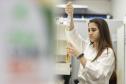 Projeto da UEM aproveita bagaço de cana-de-açúcar para aumentar produção de etanol