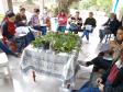Projeto da Unicentro incentiva uso de plantas medicinais para gerar renda a agricultoras