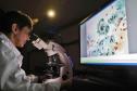 Pesquisadoras da UEM vão liderar projeto nacional de autocoleta de HPV