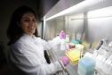 Pesquisadoras da UEM vão liderar projeto nacional de autocoleta de HPV