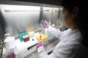 Pesquisadoras da UEM vão liderar projeto nacional de autocoleta de HPV