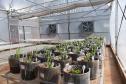 Com alta tecnologia, nova casa de vegetação da UENP expande ensino de agronomia