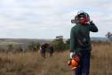 Com apoio de voluntários, IAT continua supressão de árvore invasora no Parque de Vila Velha