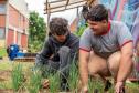 Jornada de Educação Ambiental capacita profissionais da rede estadual de ensino