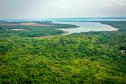 Sabor único, alta produtividade e indicação geográfica diferenciam o mel do Oeste