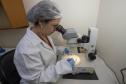 Tecpar lança guia de análise de alimentos para laboratórios e universidades