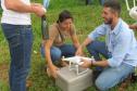 Universidades estaduais têm papel importante no combate à dengue no Paraná