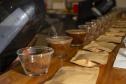 Com apoio do Tecpar, empreendedores vão produzir água para preparo de cafés especiais