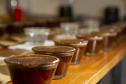 Com apoio do Tecpar, empreendedores vão produzir água para preparo de cafés especiais