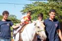 Núcleo da UENP responsável por terapia com cavalos atende 105 pessoas em Bandeirantes