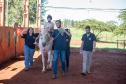Núcleo da UENP responsável por terapia com cavalos atende 105 pessoas em Bandeirantes