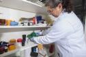 Análise de embalagens de alimentos do Tecpar assegura a saúde do consumidor