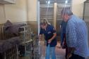 IAT renova convênio com Unifil para atendimento à fauna na região de Londrina