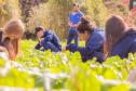 Colégio Agrícola da UEPG abre processo seletivo para ingresso em 2025