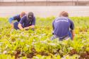 Colégio Agrícola da UEPG abre processo seletivo para ingresso em 2025
