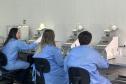 58 milhões de wolbitos devem ajudar Londrina no combate à dengue e arboviroses
