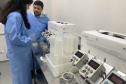 58 milhões de wolbitos devem ajudar Londrina no combate à dengue e arboviroses