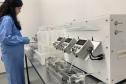 58 milhões de wolbitos devem ajudar Londrina no combate à dengue e arboviroses