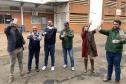 58 milhões de wolbitos devem ajudar Londrina no combate à dengue e arboviroses