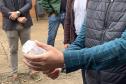 58 milhões de wolbitos devem ajudar Londrina no combate à dengue e arboviroses