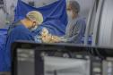 Hospitais universitários da UEPG batem recorde de cirurgias em agosto