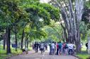 Paraná é o quarto estado com mais estudantes universitários do Brasil, aponta Censo