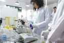 Paraná é o quarto estado com mais estudantes universitários do Brasil, aponta Censo