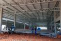 Maior biofábrica do mundo de mosquitos Wolbitos de combate à dengue será em Curitiba