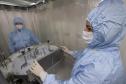 Tecpar moderniza laboratório de vacina antirrábica para ampliar capacidade de produção