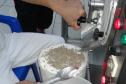Tilápia vira vestuário, material hospitalar e suplemento alimentício em laboratório da UEM