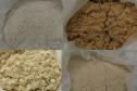 Tilápia vira vestuário, material hospitalar e suplemento alimentício em laboratório da UEM