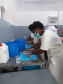 Projeto paranaense de produção de couro de peixe será implantado em Cabo Verde