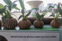 Veranistas aprendem a fazer vaso de plantas com fibra de coco em oficina no Verão Maior