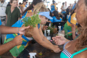 Veranistas aprendem a fazer vaso de plantas com fibra de coco em oficina no Verão Maior