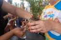 Veranistas aprendem a fazer vaso de plantas com fibra de coco em oficina no Verão Maior