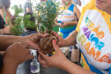 Veranistas aprendem a fazer vaso de plantas com fibra de coco em oficina no Verão Maior