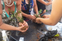 Veranistas aprendem a fazer vaso de plantas com fibra de coco em oficina no Verão Maior
