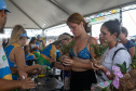 Veranistas aprendem a fazer vaso de plantas com fibra de coco em oficina no Verão Maior