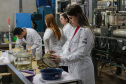 Paraná é o 2º estado com maior proporção de jovens matriculados no ensino superior