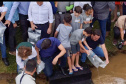 Estado repovoa Parque Passaúna em Curitiba com meio milhão de peixes nativos