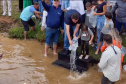 Estado repovoa Parque Passaúna em Curitiba com meio milhão de peixes nativos