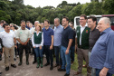 Estado repovoa Parque Passaúna em Curitiba com meio milhão de peixes nativos