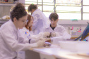 Pesquisa e ensino: Laboratório de Zoologia da UEPG tem mais de mil animais conservados