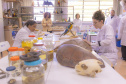 Pesquisa e ensino: Laboratório de Zoologia da UEPG tem mais de mil animais conservados