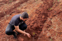 Educação do Paraná se destaca em olimpíada nacional de recuperação de ecossistemas