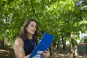 Tecpar credencia auditores independentes; saiba como se inscrever