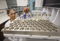 Laboratório da UEM realiza detecção de níveis de metanol em bebidas
