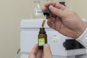 Plataforma do Tecpar vai apoiar profissionais com dados de produtos com cannabis medicinal